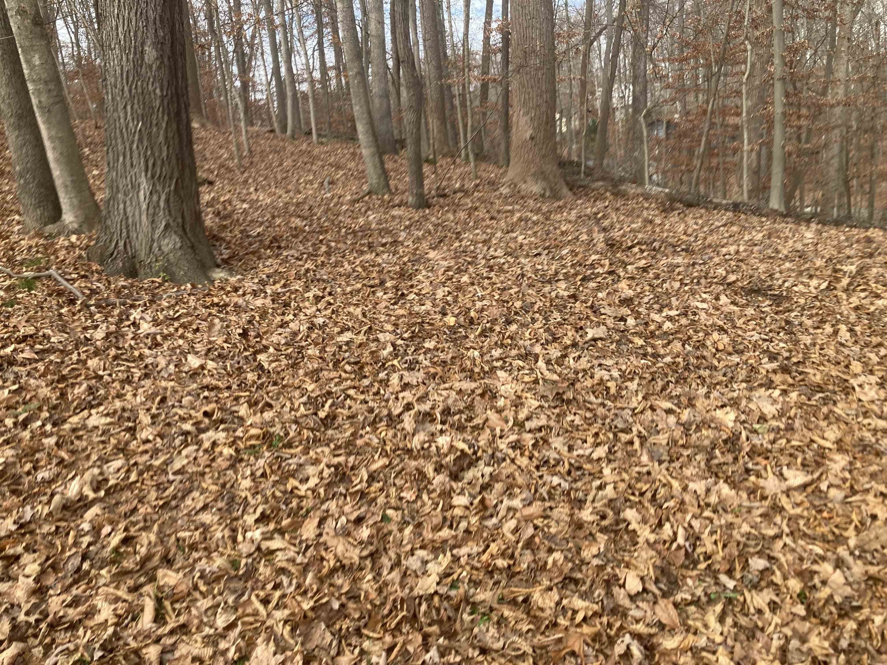 Huntington, Cabell County, WV Homesites for sale Property ID 418284395