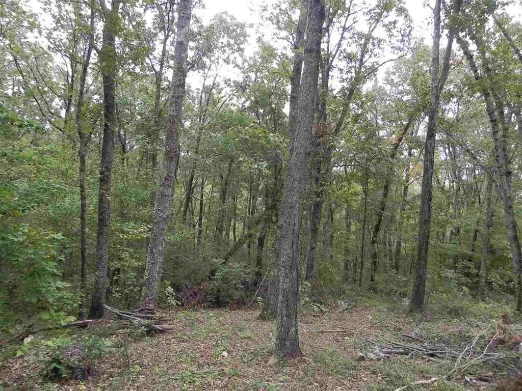 Landrum, Spartanburg County, SC Undeveloped Land, Homesites for sale