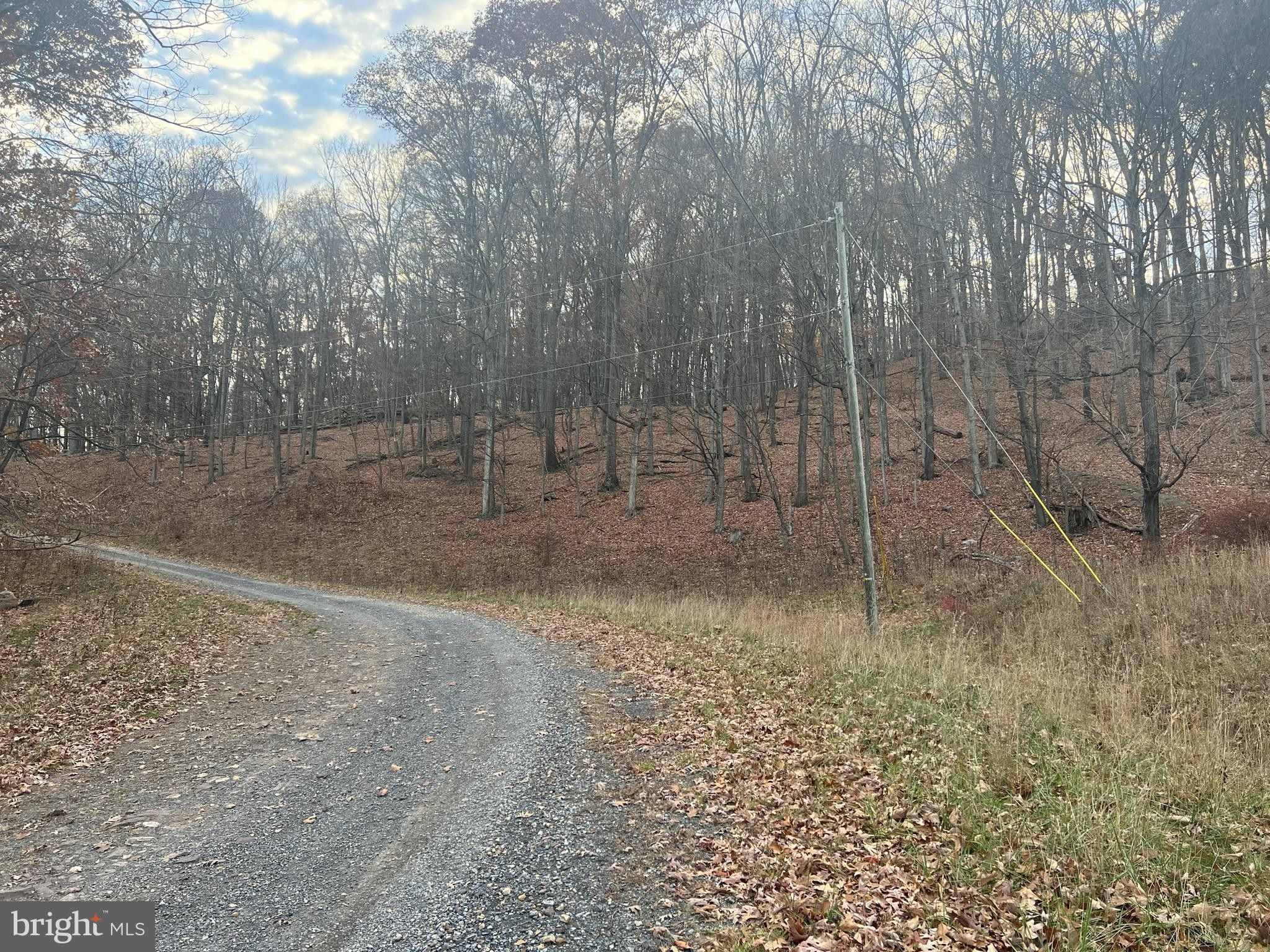 New Creek, Mineral County, WV Undeveloped Land for sale Property ID