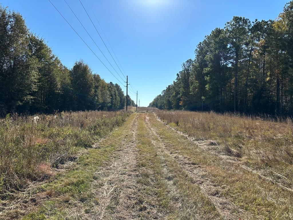 Landfill Rd, Pelham, GA 31779 MLS 922557 LandWatch