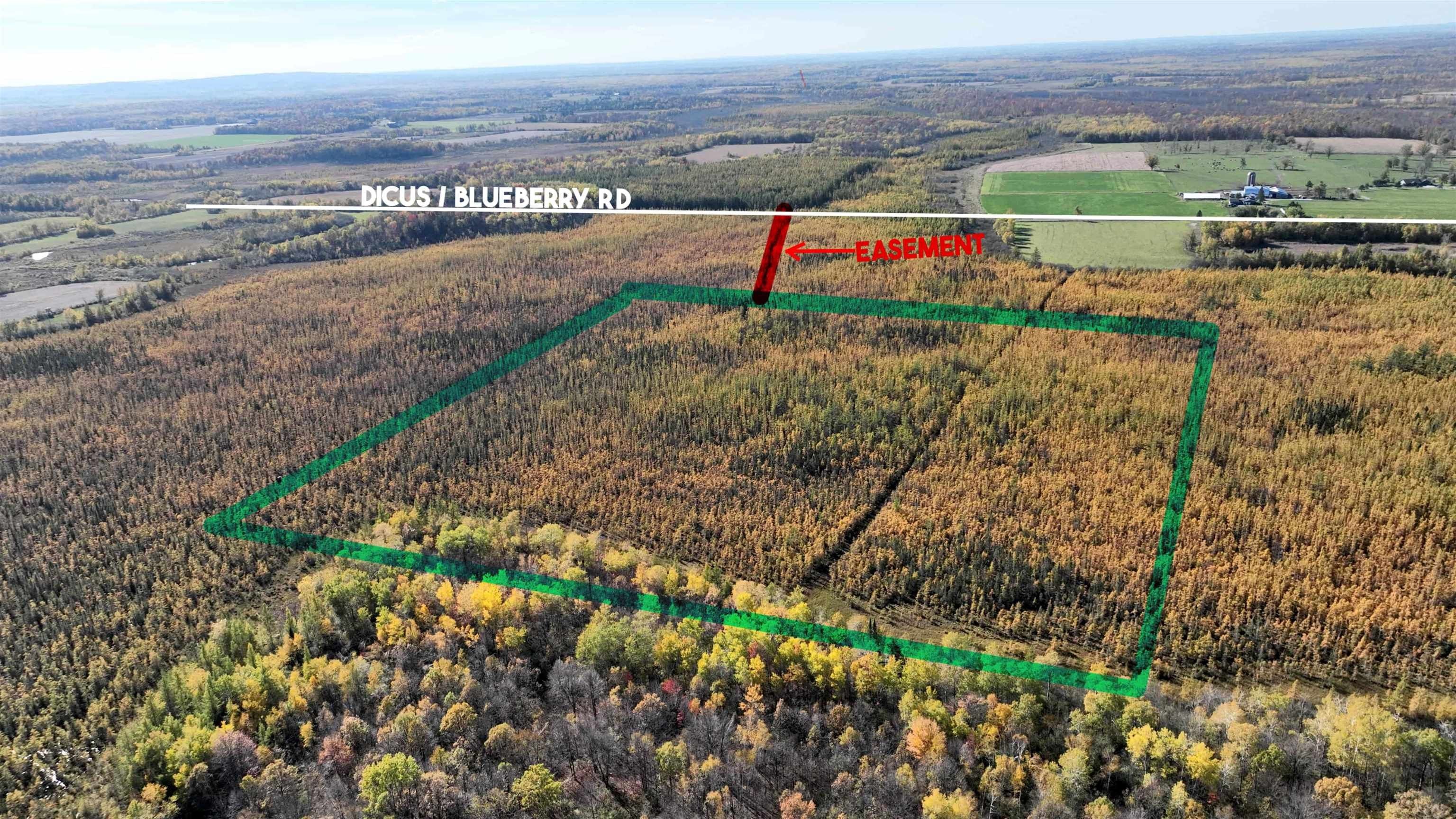40acres Mol Dicus Road, Ladysmith, WI 54848 MLS 1965448 LandWatch