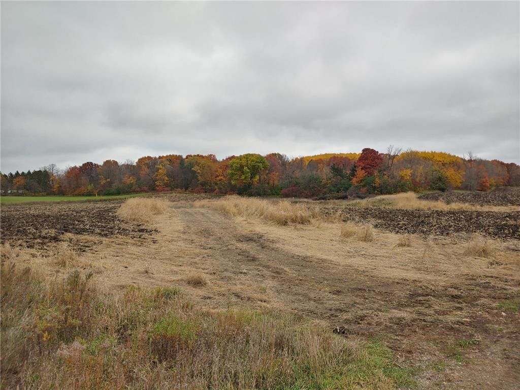 Buffalo, Wright County, MN Undeveloped Land for sale Property ID 418305960 LandWatch