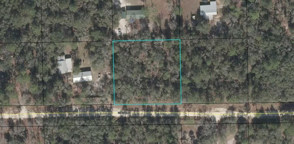 Old Town, Dixie County, FL Undeveloped Land, Homesites for sale
