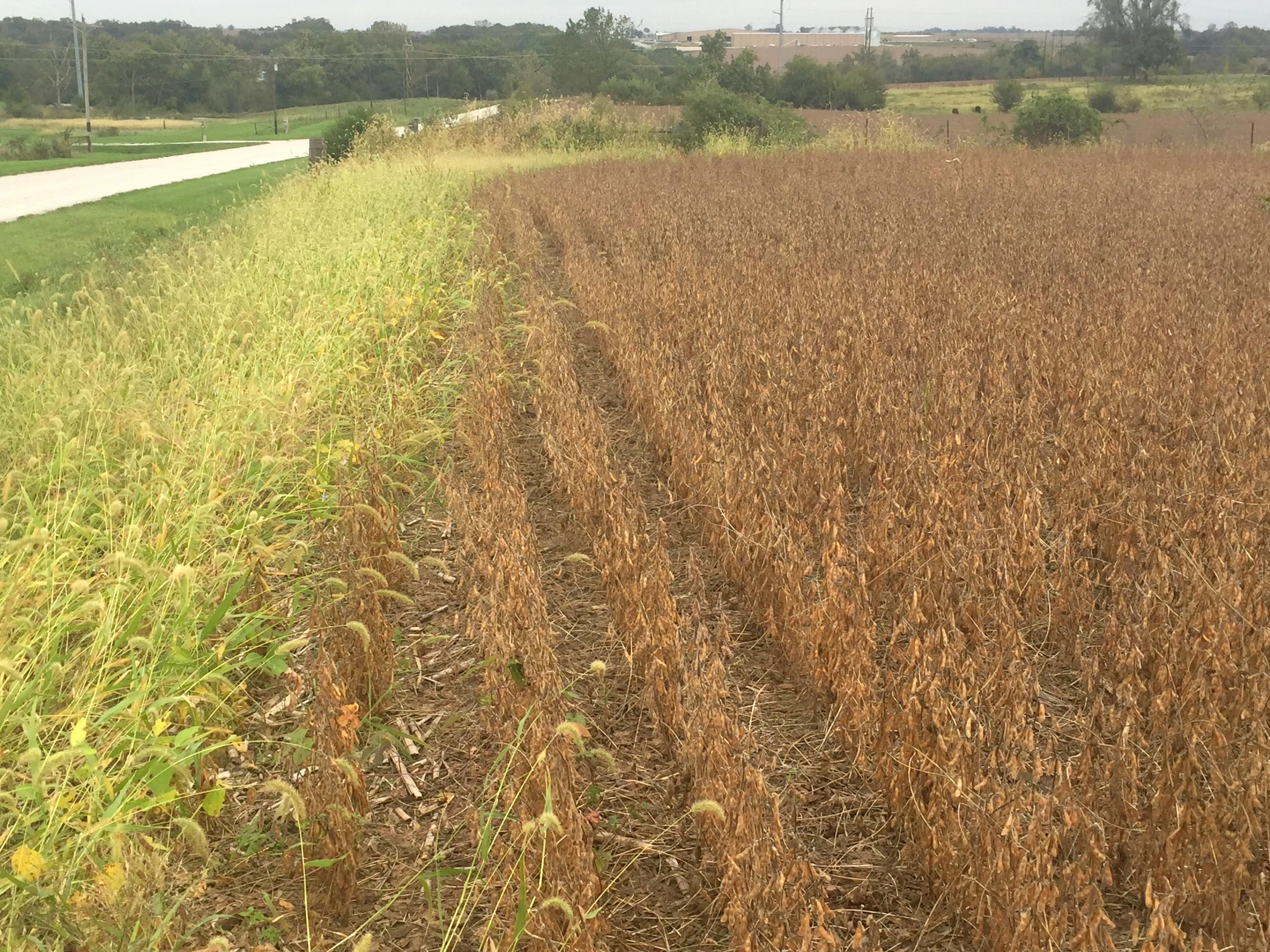 97 County Road 361, Palmyra, MO 63461 MLS 23068874 LandWatch