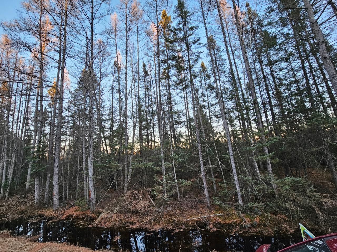 Tomahawk, Lincoln County, WI Undeveloped Land for sale Property ID