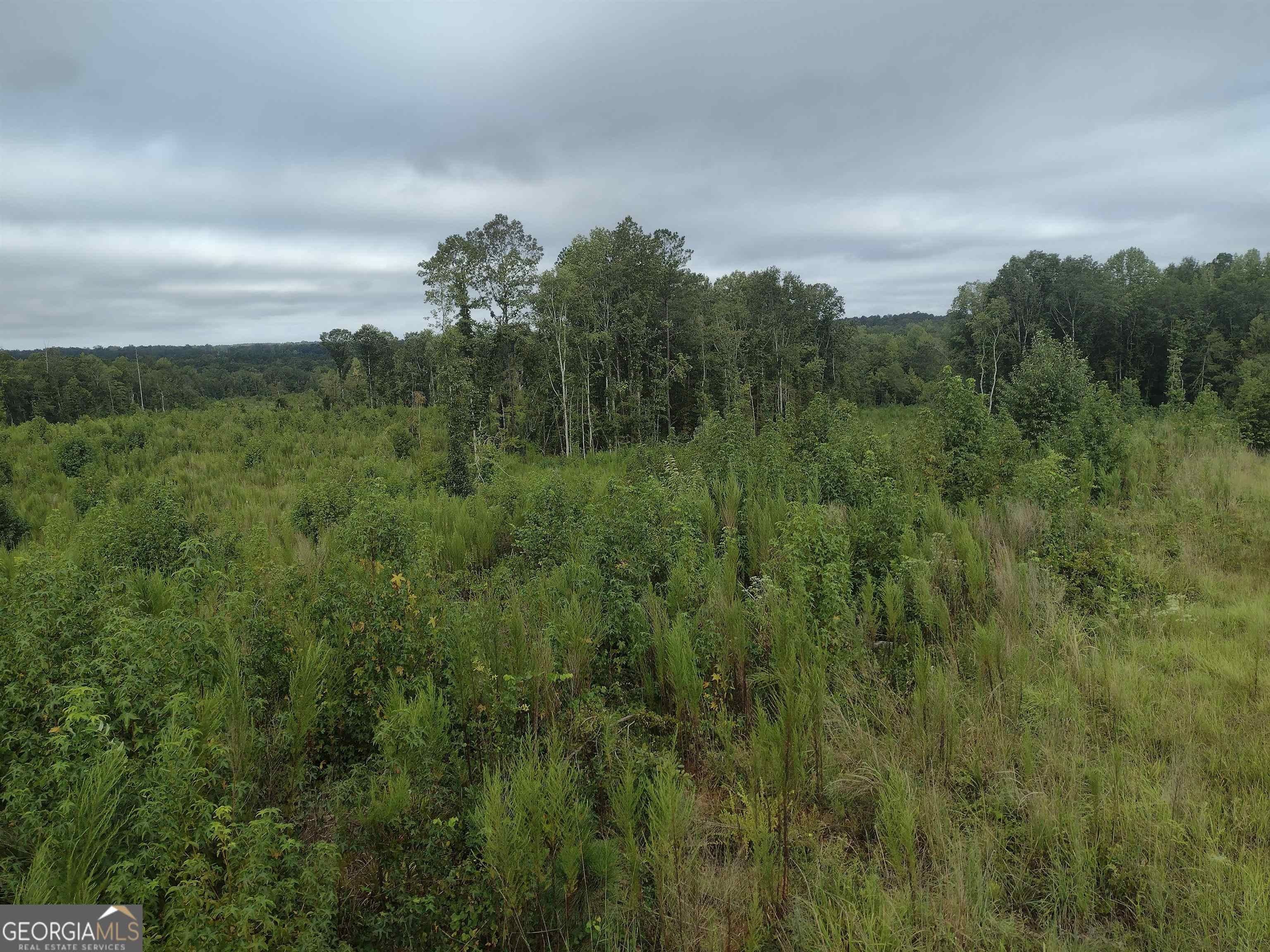 Sparta, Hancock County, GA Undeveloped Land for sale Property ID