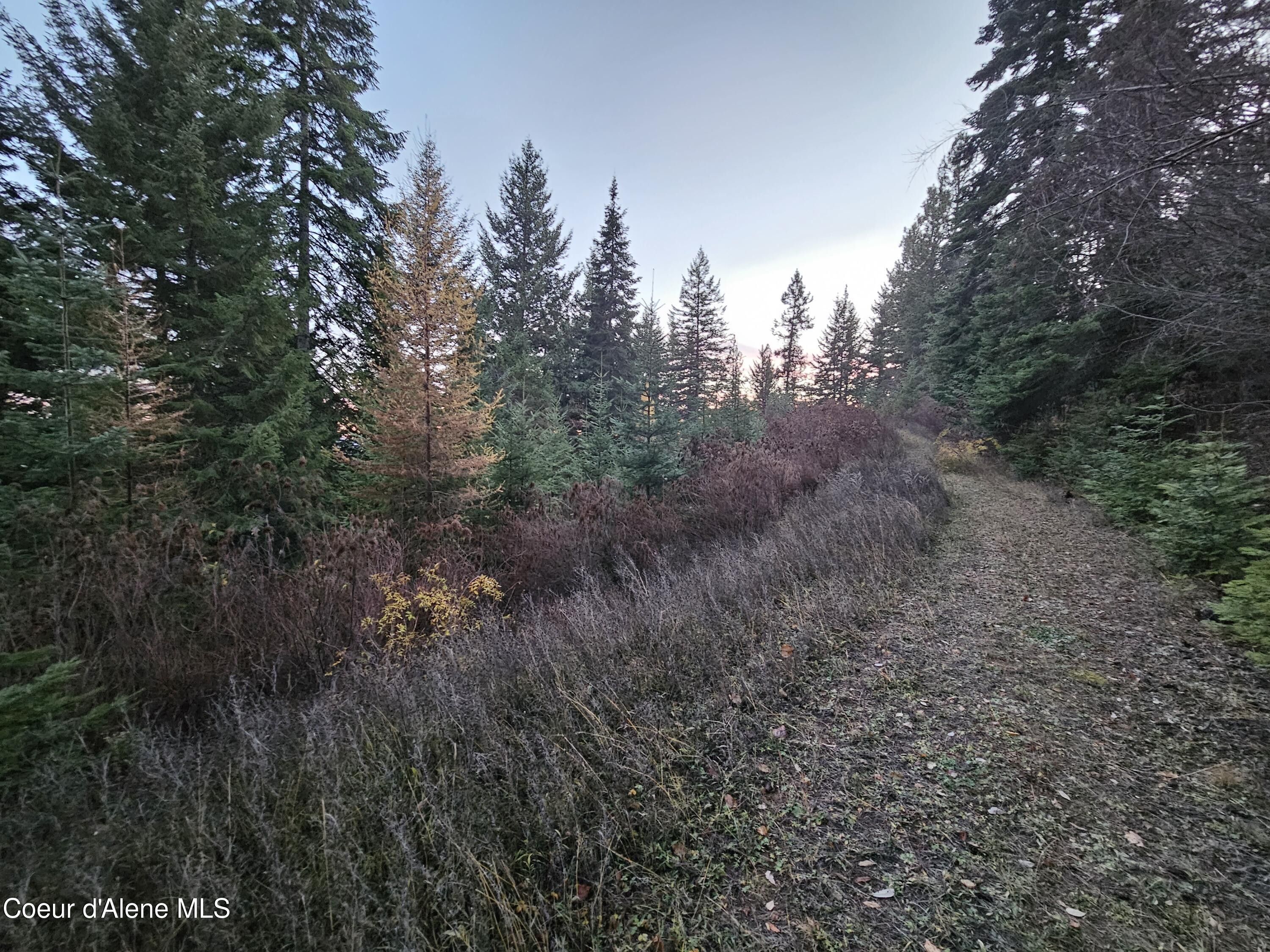 St Maries, Benewah County, ID Undeveloped Land, Homesites for sale