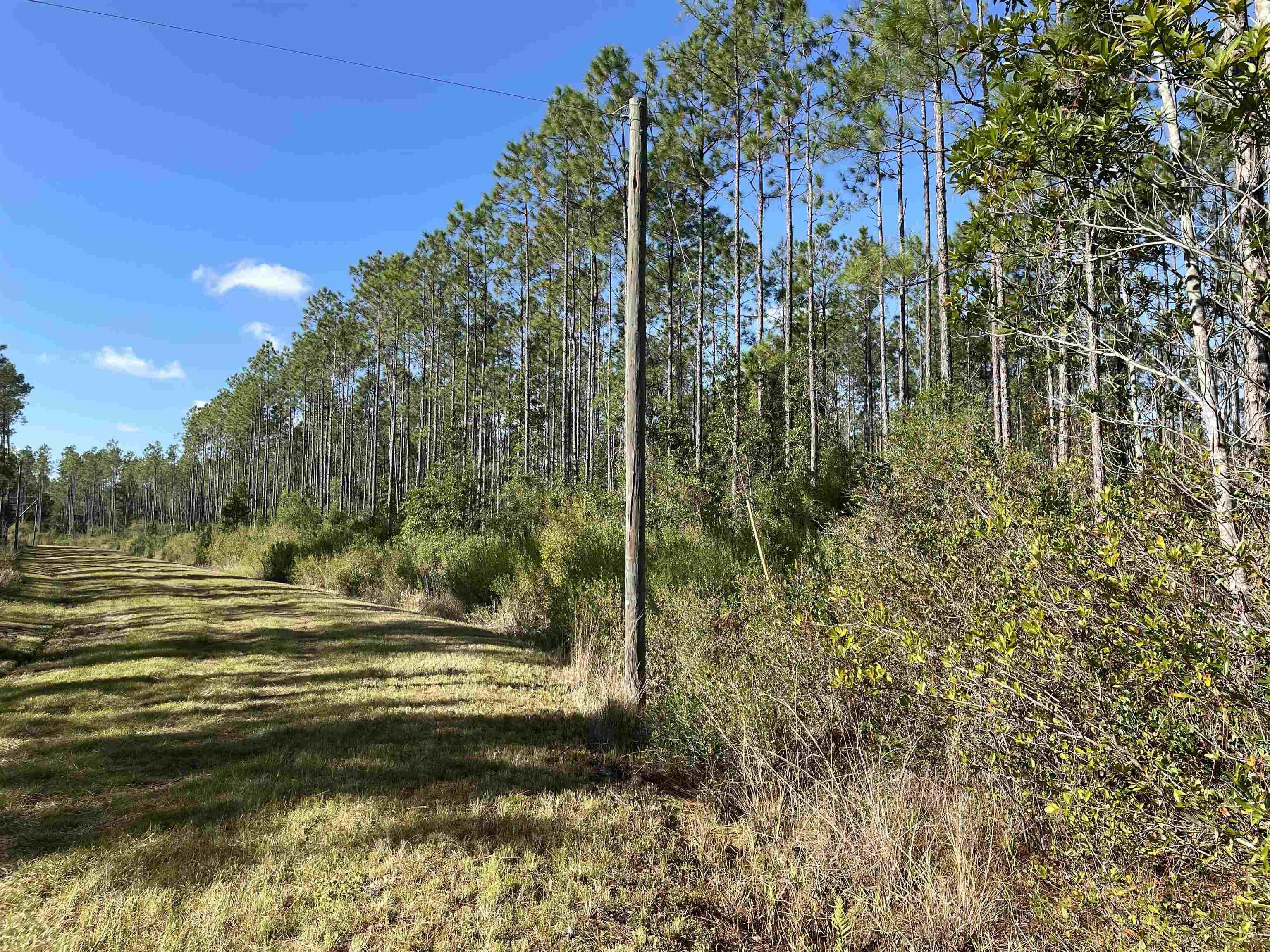 Greenville, Madison County, FL Undeveloped Land for sale Property ID