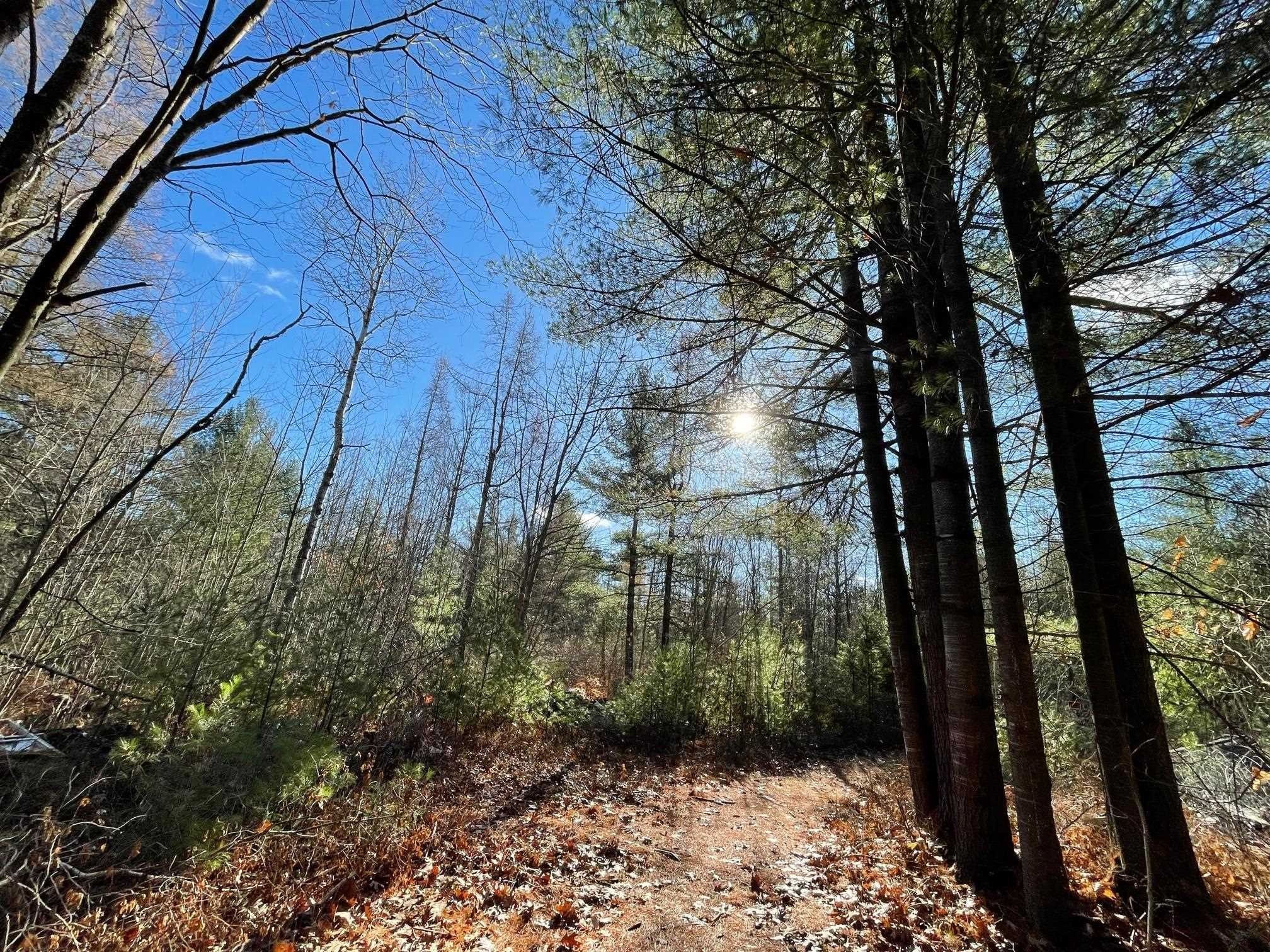 Norfolk, Saint Lawrence County, NY Undeveloped Land for sale Property