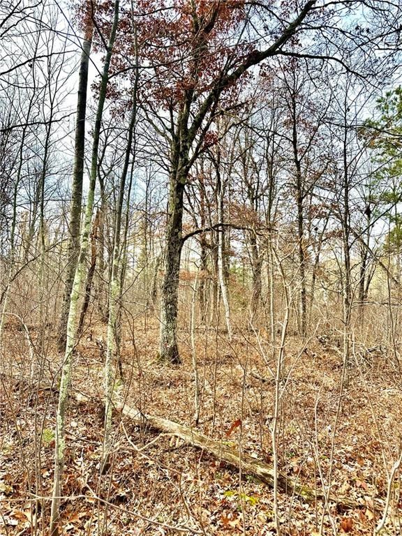Minong, Washburn County, WI Undeveloped Land for sale Property ID