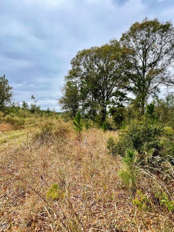 Hazlehurst, Jeff Davis County, GA Recreational Property, Hunting Property for sale Property ID