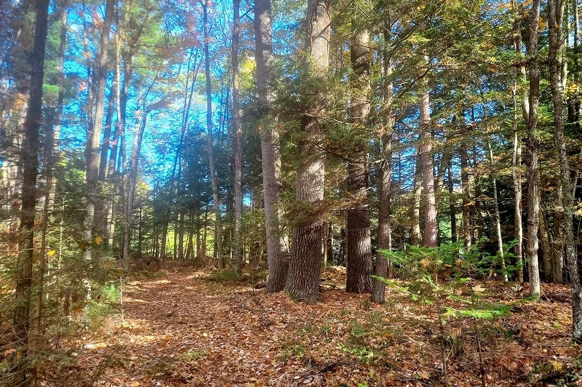 1.59 acres in Elcho, WI, 54428 LandWatch