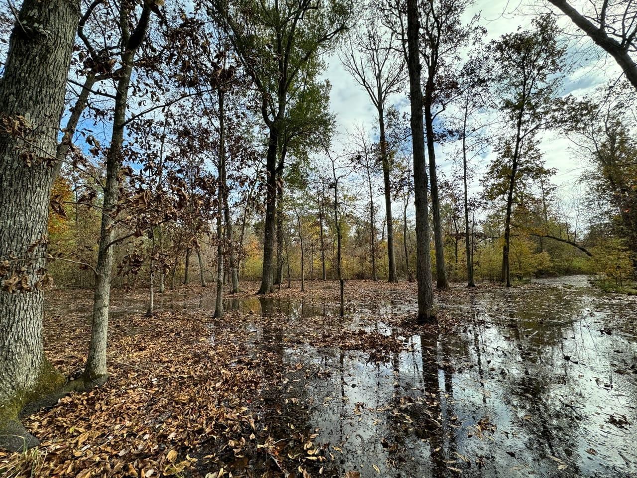 00 Highway 42, Hickory Ridge, AR 72347 LandWatch