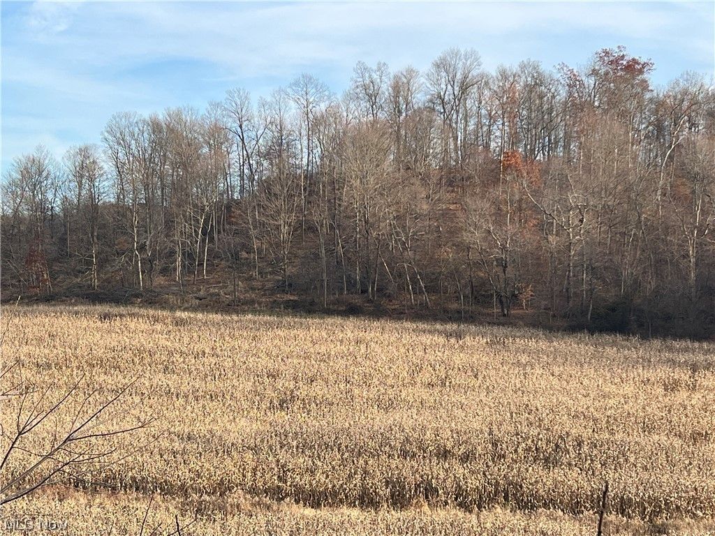 Killbuck, Holmes County, OH Undeveloped Land for sale Property ID