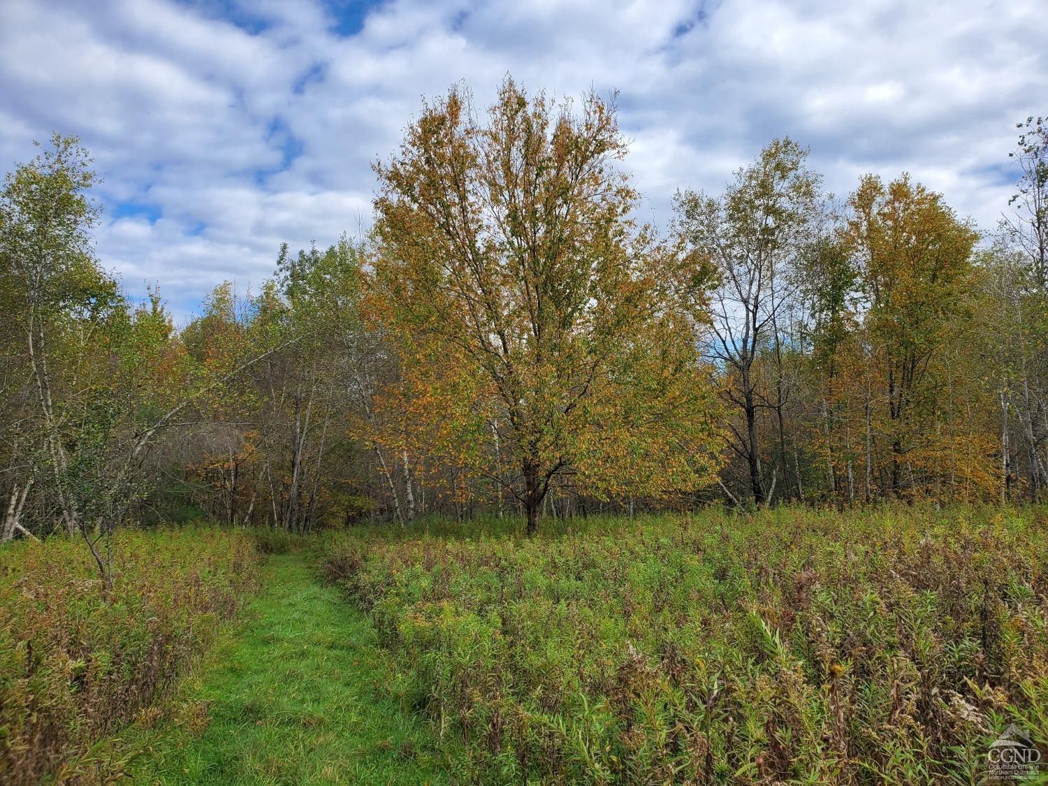 Stephentown, Rensselaer County, NY Undeveloped Land for sale Property