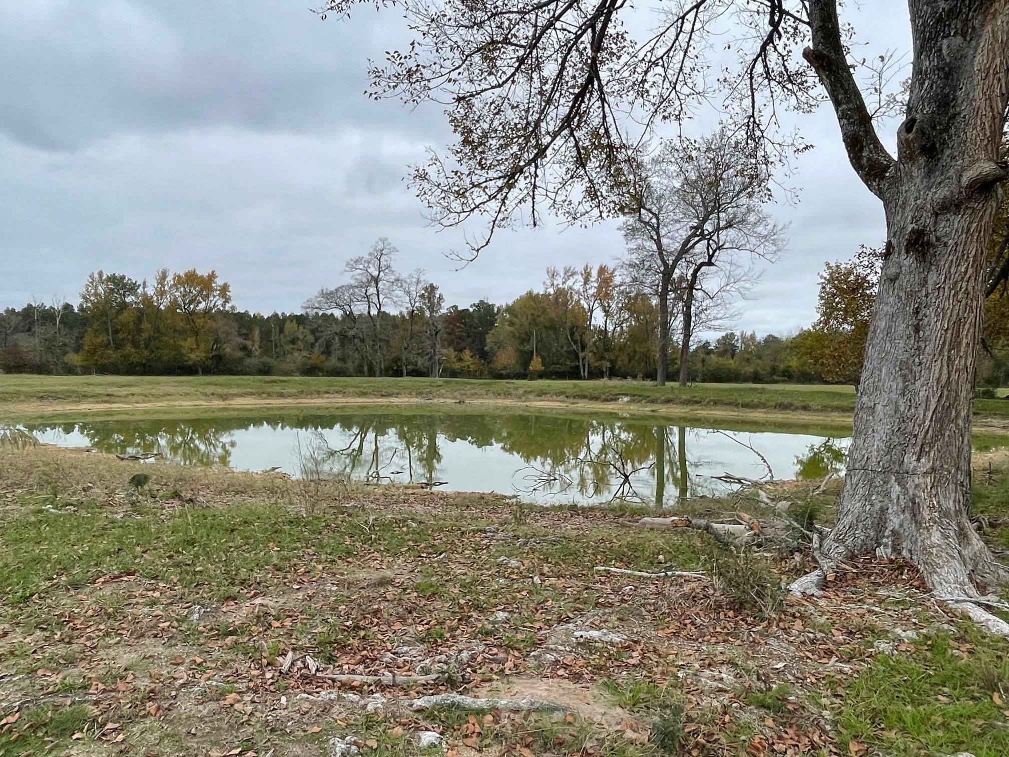 949 FM 1309, Lovelady, TX 75851 LandWatch