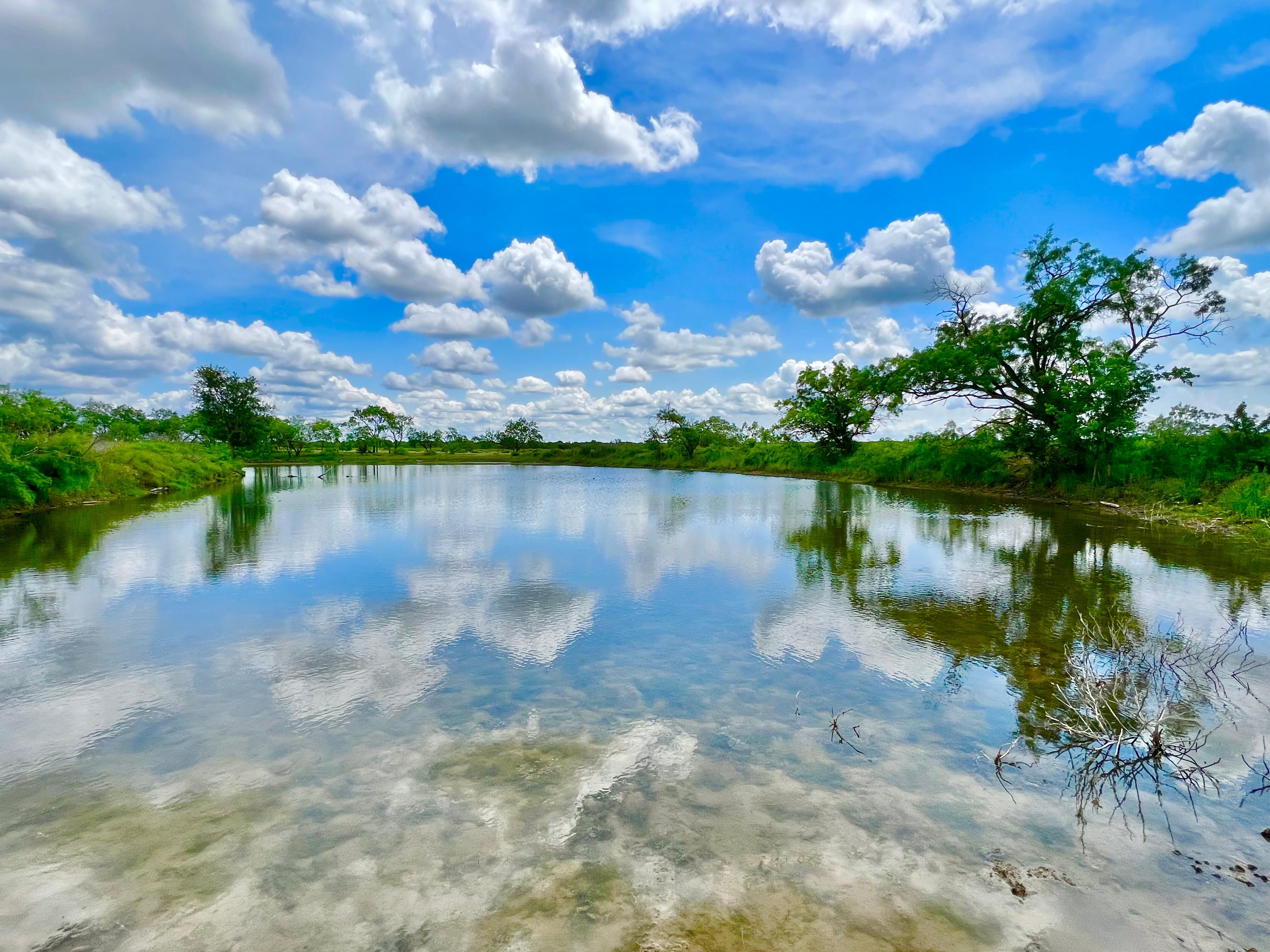 357 acres in Cross Plains, TX, 76443 LandWatch