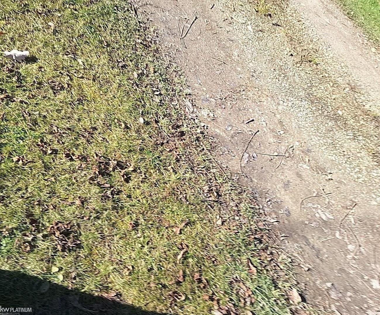 Capac, Saint Clair County, MI Undeveloped Land for sale Property ID