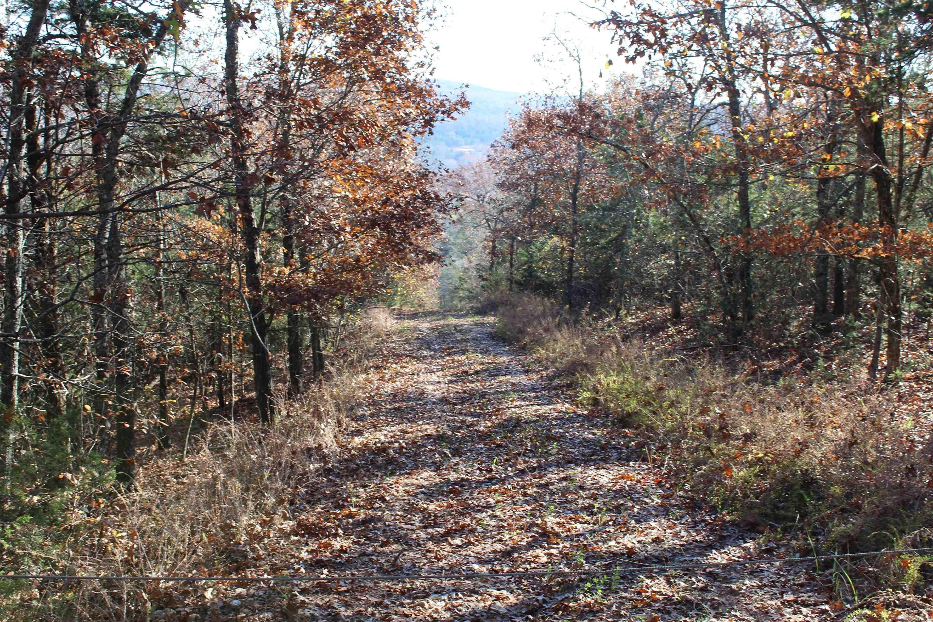 Flippin, Marion County, AR Undeveloped Land for sale Property ID