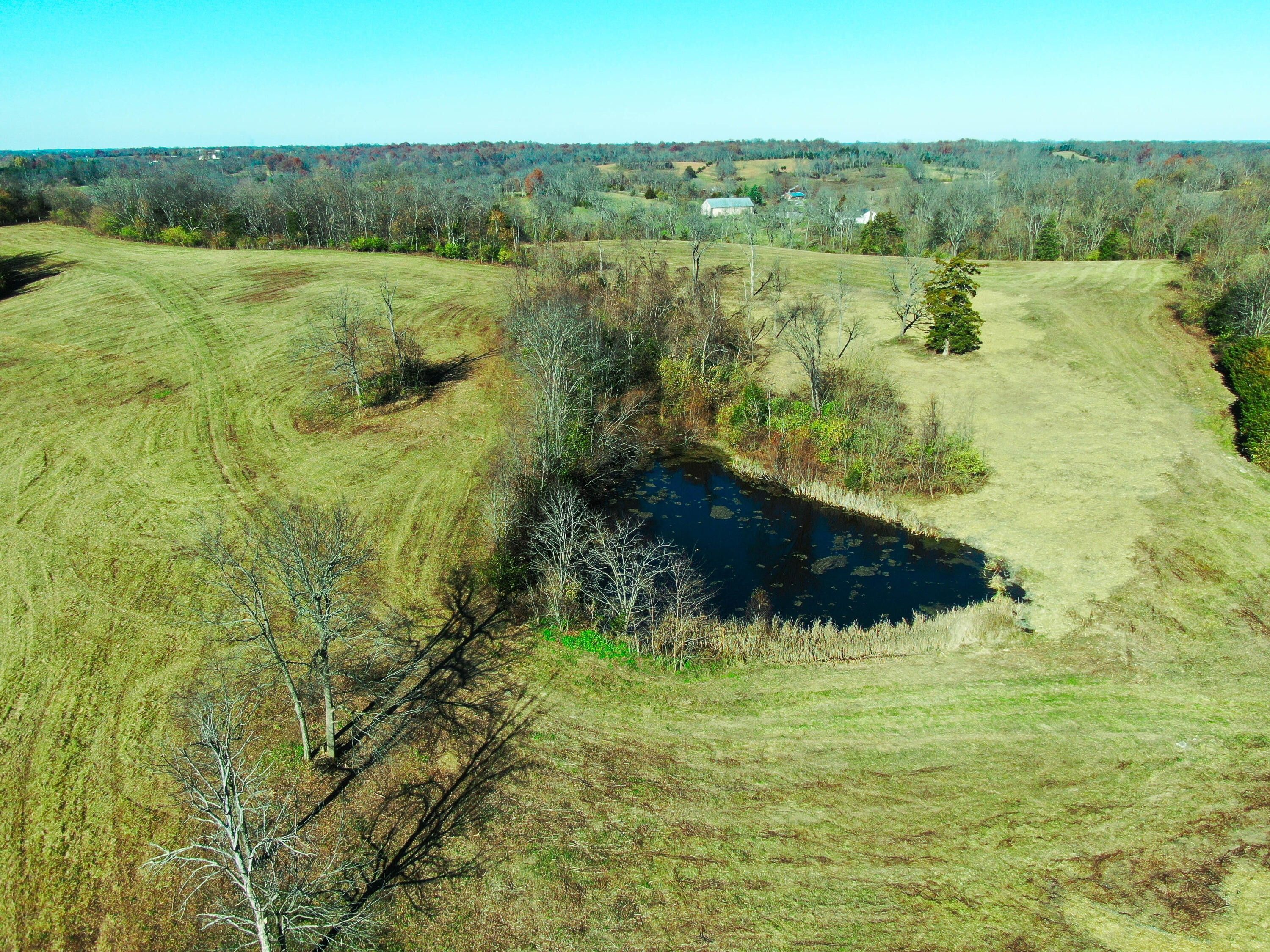 Cynthiana, Harrison County, KY Farms and Ranches for sale Property ID