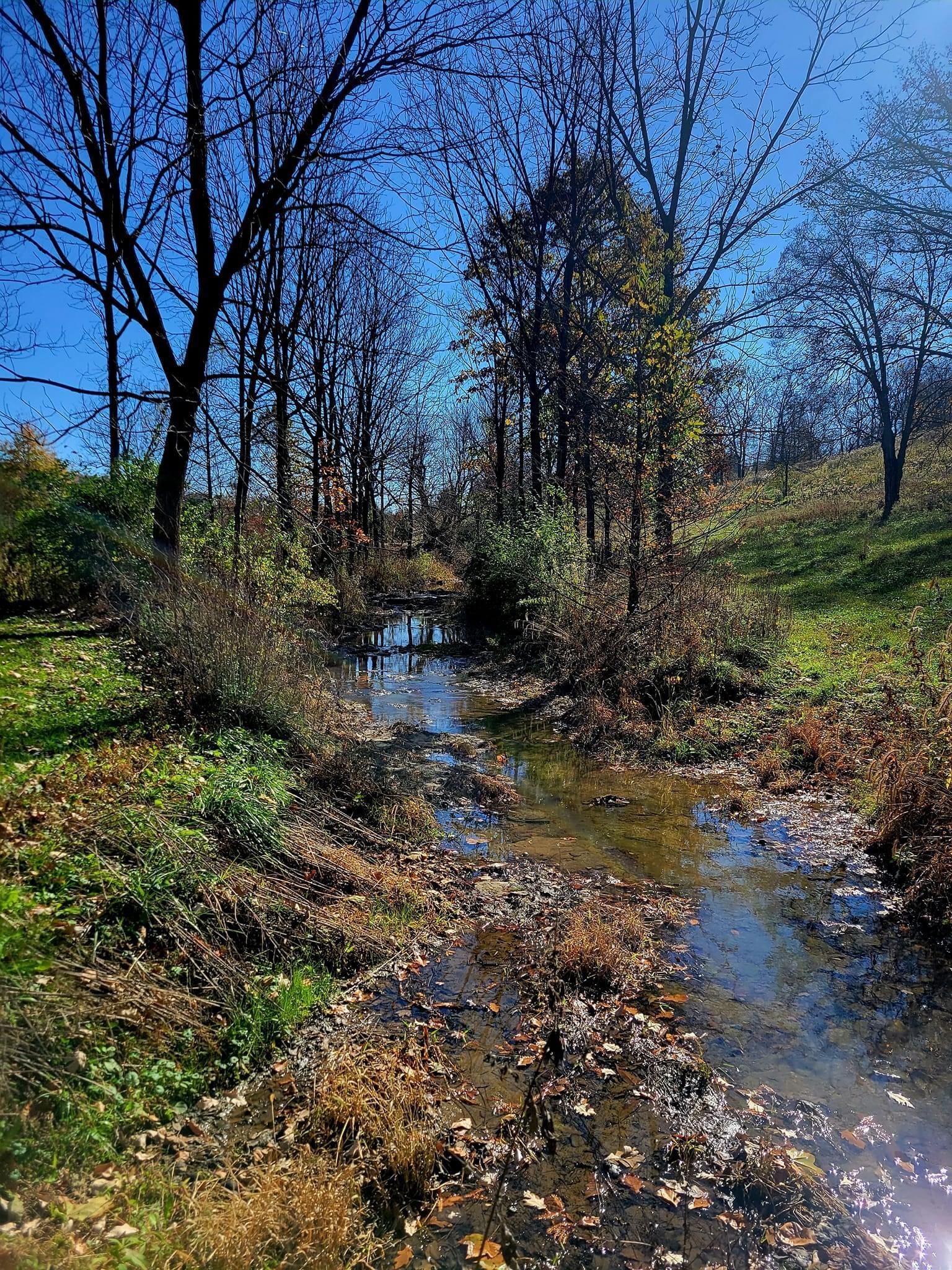 Crittenden, Boone County, KY Farms and Ranches, Horse Property, House