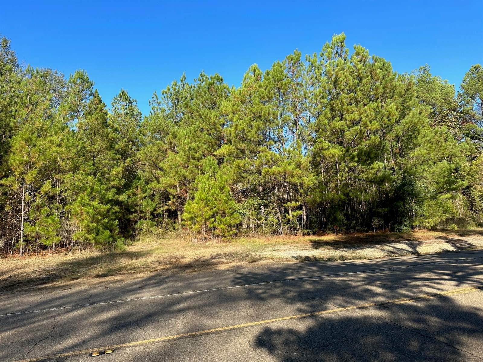 Highway 51, Kentwood, LA 70444 MLS 2423440 LandWatch