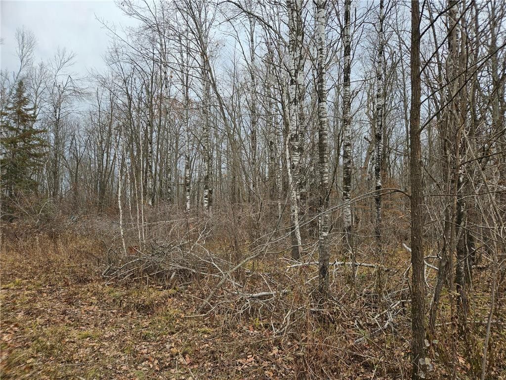 Sandstone, Pine County, MN Undeveloped Land for sale Property ID