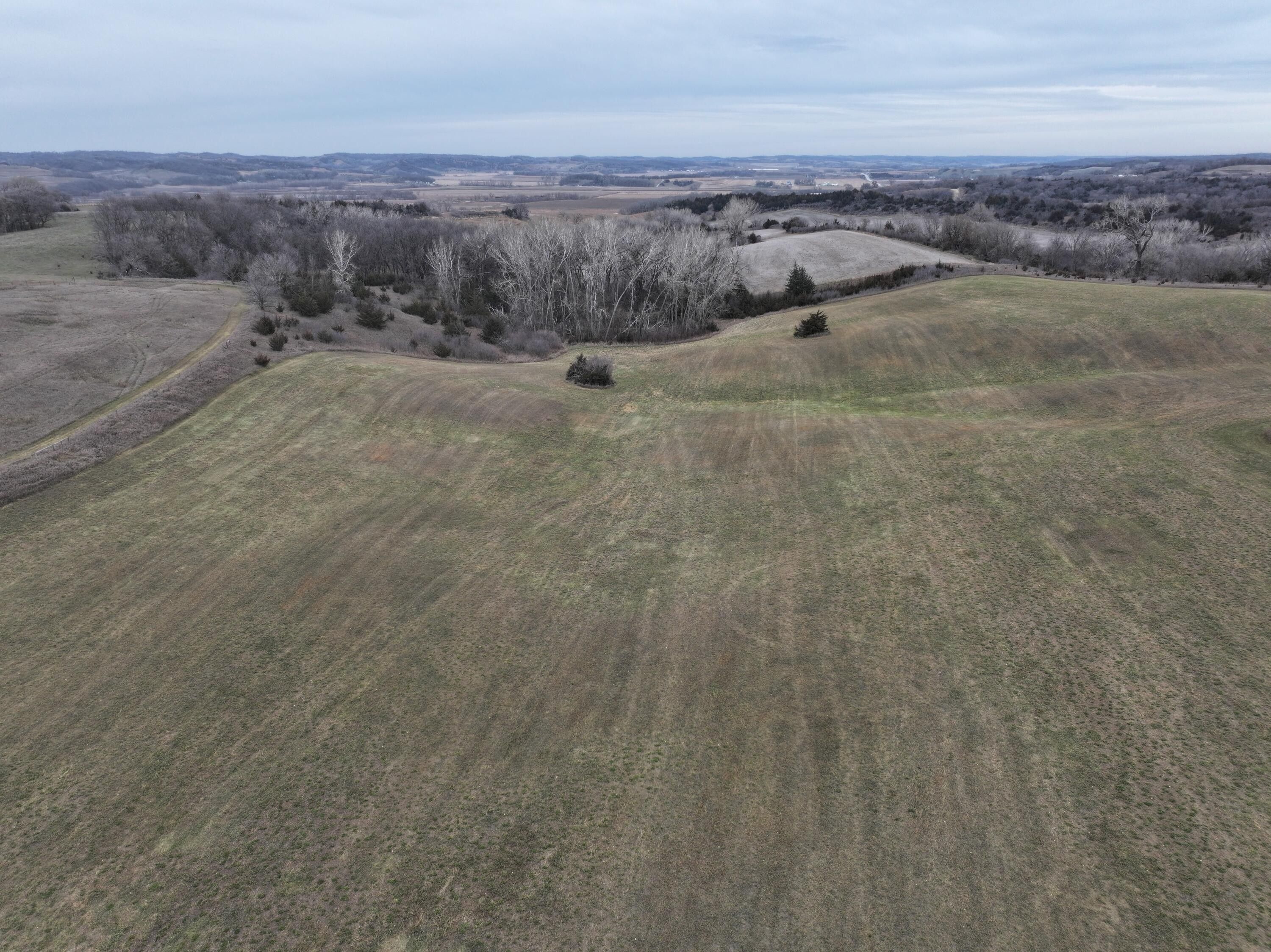 Mondamin, Harrison County, IA Undeveloped Land for sale Property ID