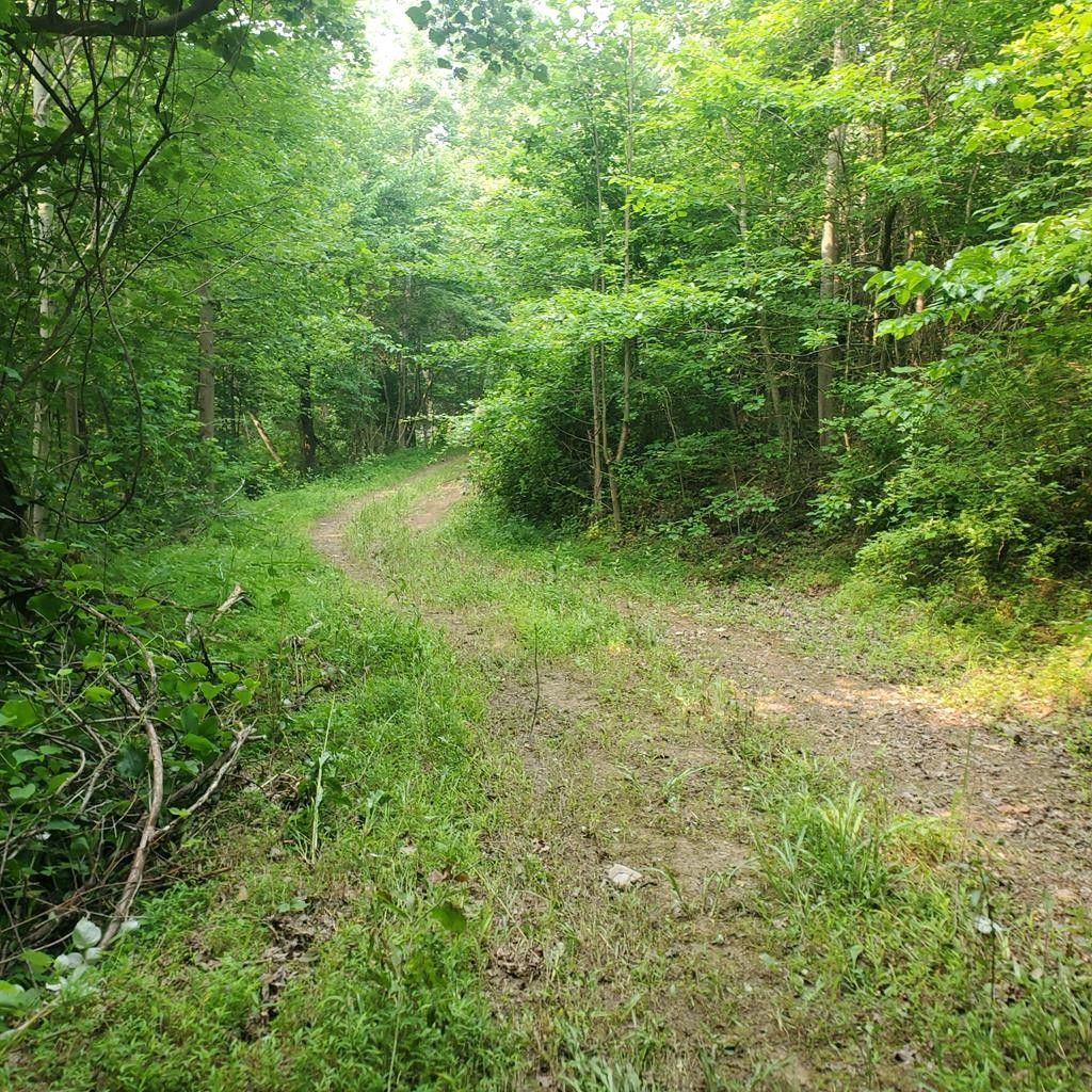 West Portsmouth, Scioto County, OH Undeveloped Land for sale Property ID 416787694 LandWatch