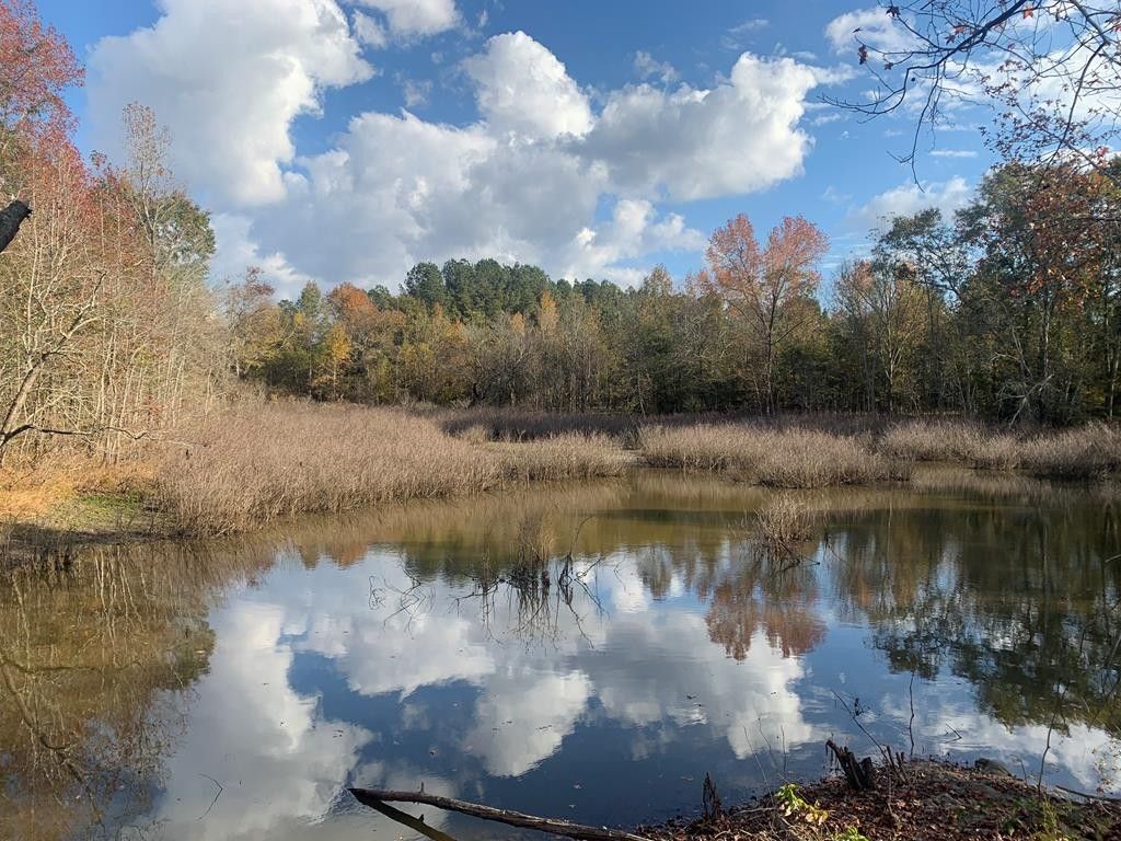 13.905 Fish Hatchery Road, Cordele, GA 31015 MLS 57785 LandWatch