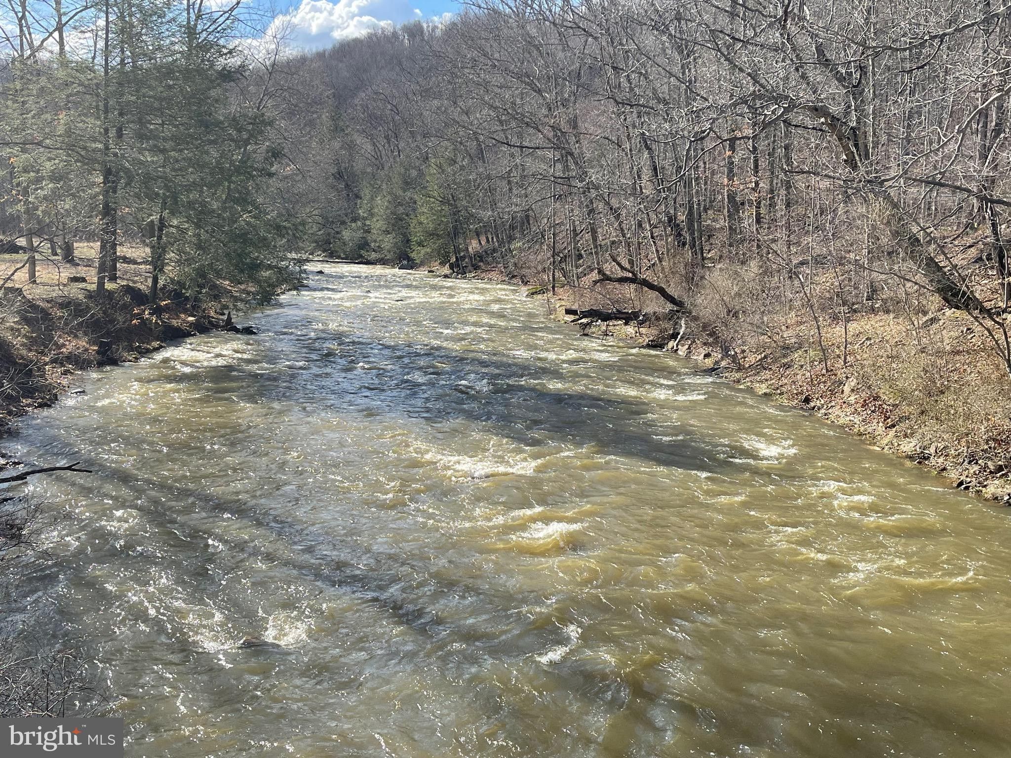 Elk Garden, Mineral County, WV Undeveloped Land, Lakefront Property