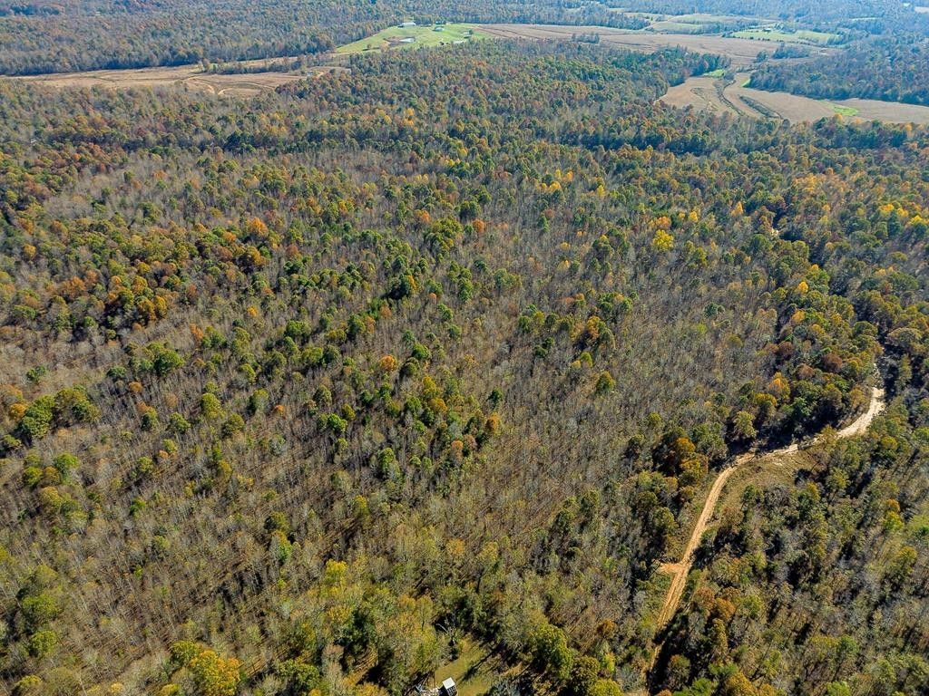 00 Campbell, Madisonville, KY 42431 MLS 114595 LandWatch