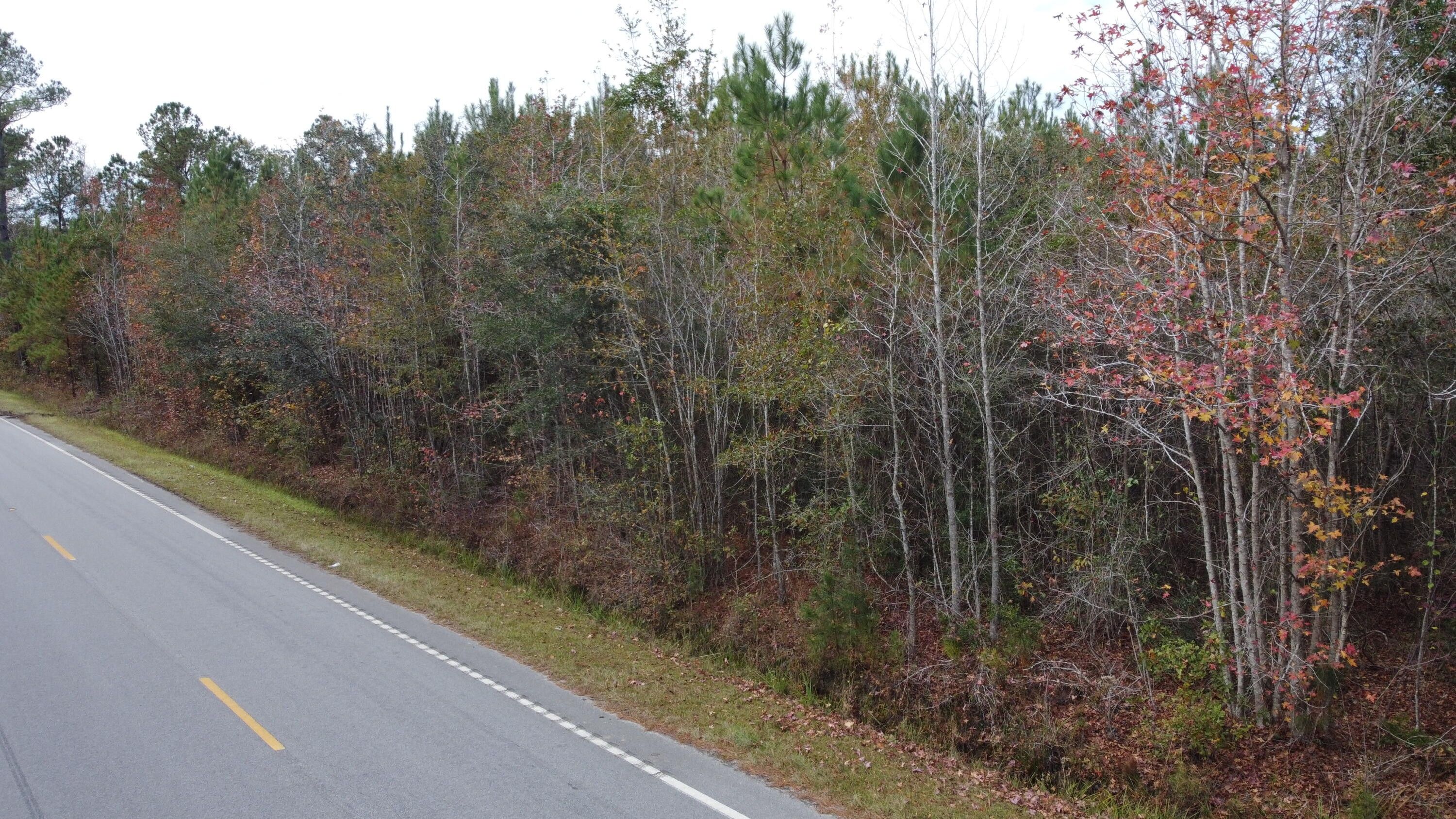 Holly Hill, Orangeburg County, SC for sale Property ID 418326908 LandWatch