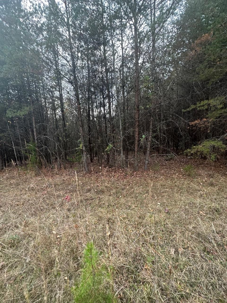 Pauline, Spartanburg County, SC Undeveloped Land for sale Property ID