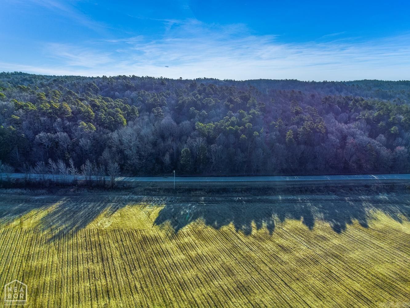 Beech Grove, Greene County, AR Undeveloped Land for sale Property ID