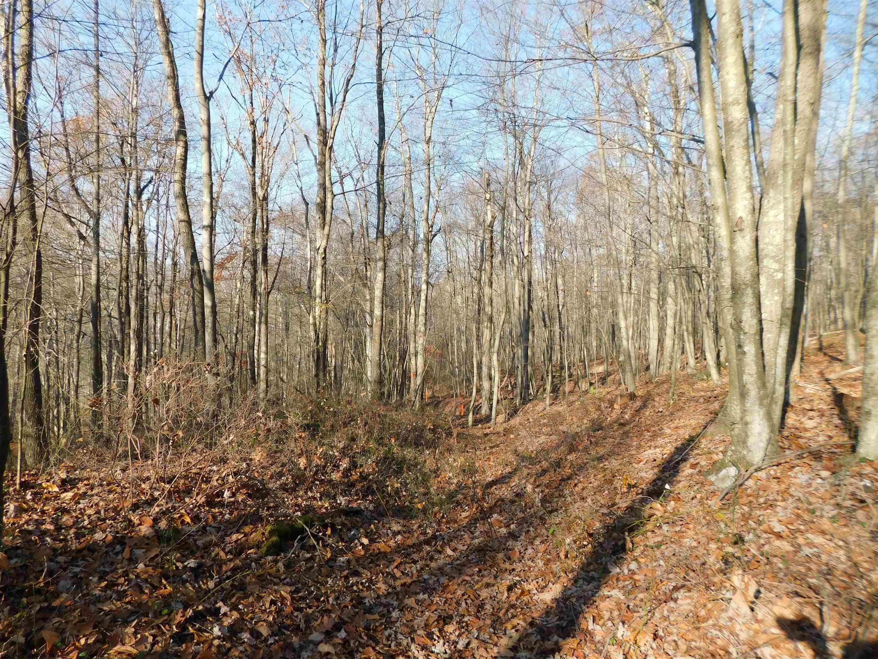 Terra Alta, Preston County, WV Undeveloped Land, Homesites for sale