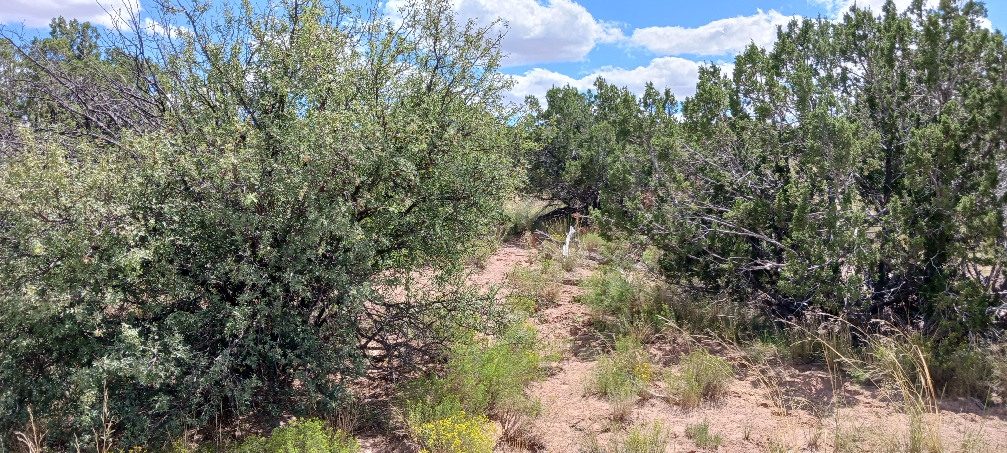2.5 acres in Sanders, AZ, 86512 LandWatch
