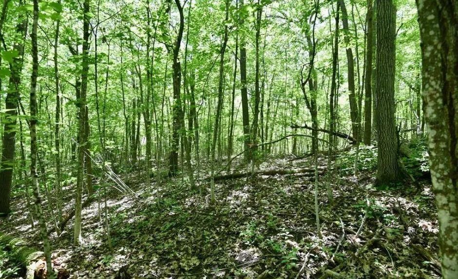 Garrison, Mille Lacs County, MN Recreational Property, Undeveloped Land