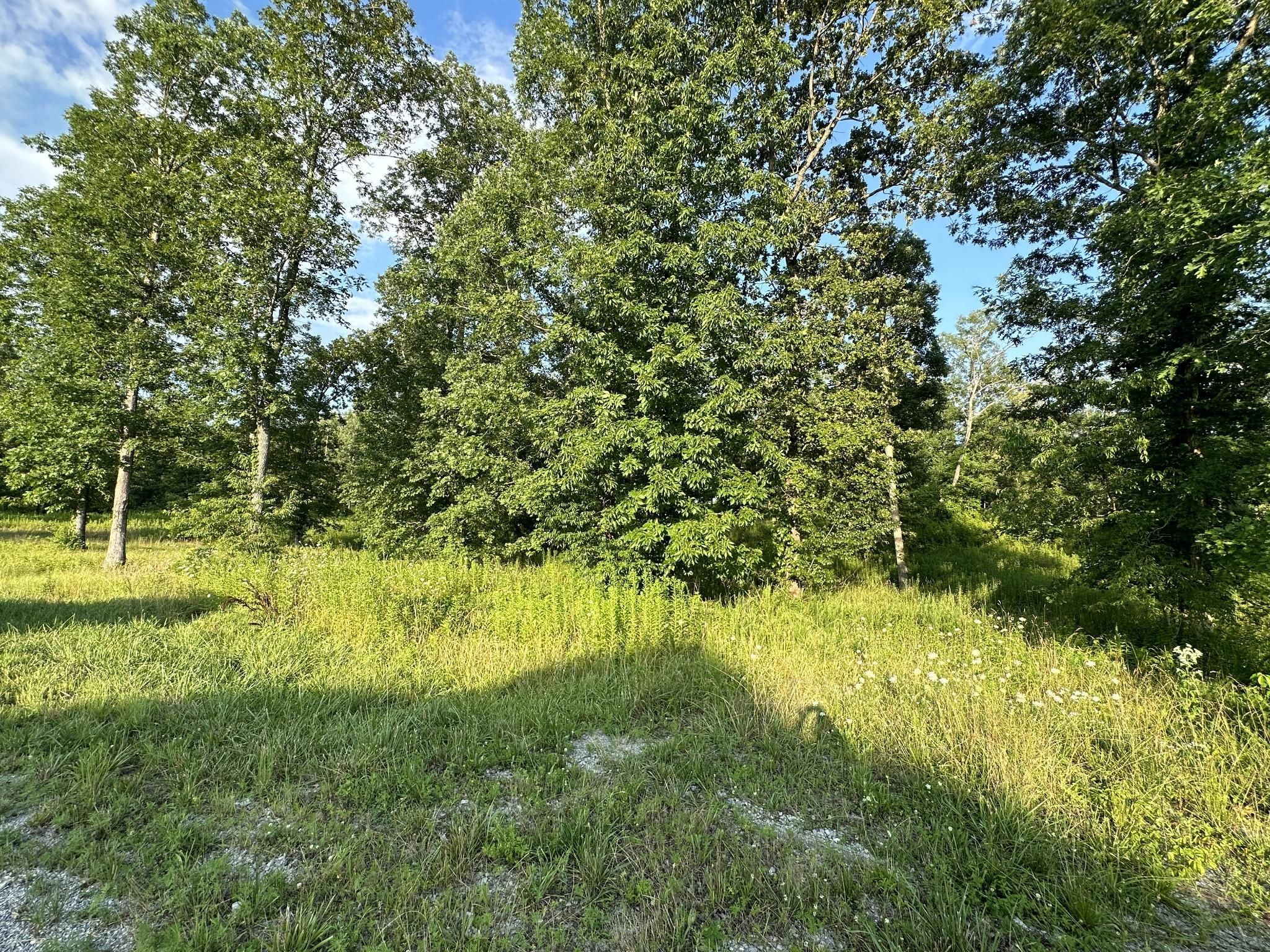 Summertown, Lawrence County, TN Homesites for sale Property ID