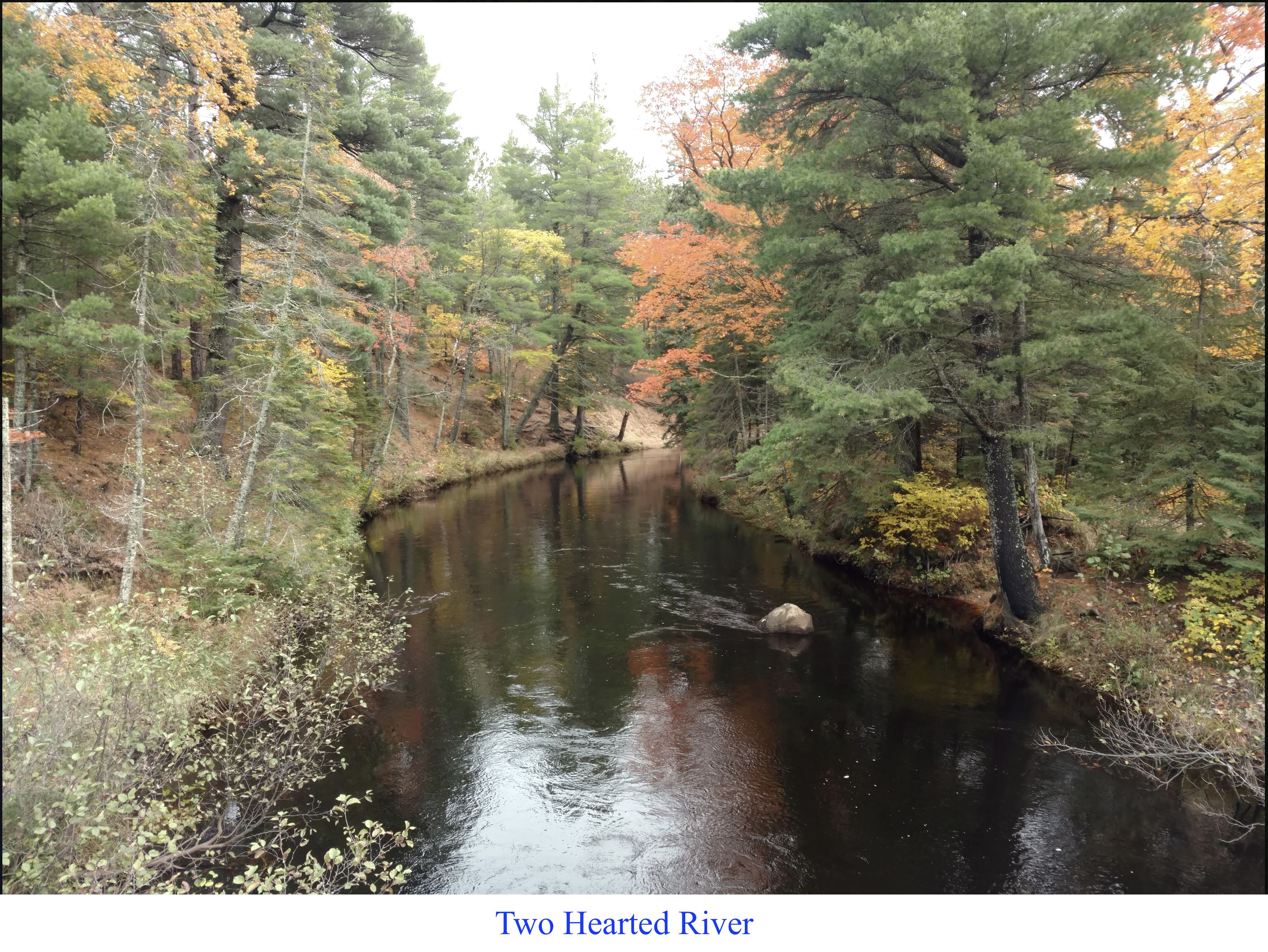 10 acres in Newberry, MI, 49868 LandWatch