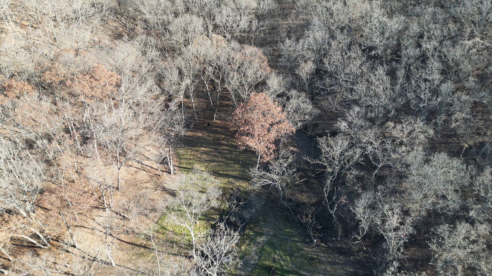 Princeton, Mercer County, MO Farms and Ranches, Recreational Property