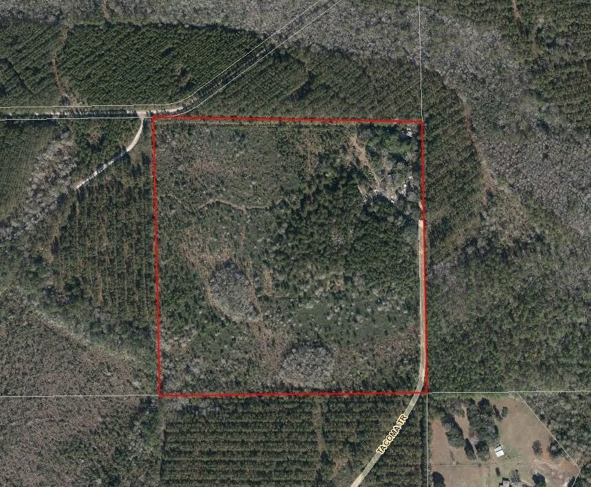 Hilliard, Nassau County, FL for sale Property ID 418328944 LandWatch