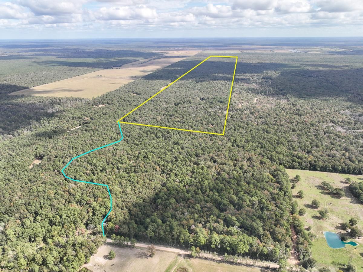 Batson, Hardin County, TX Recreational Property, Timberland Property