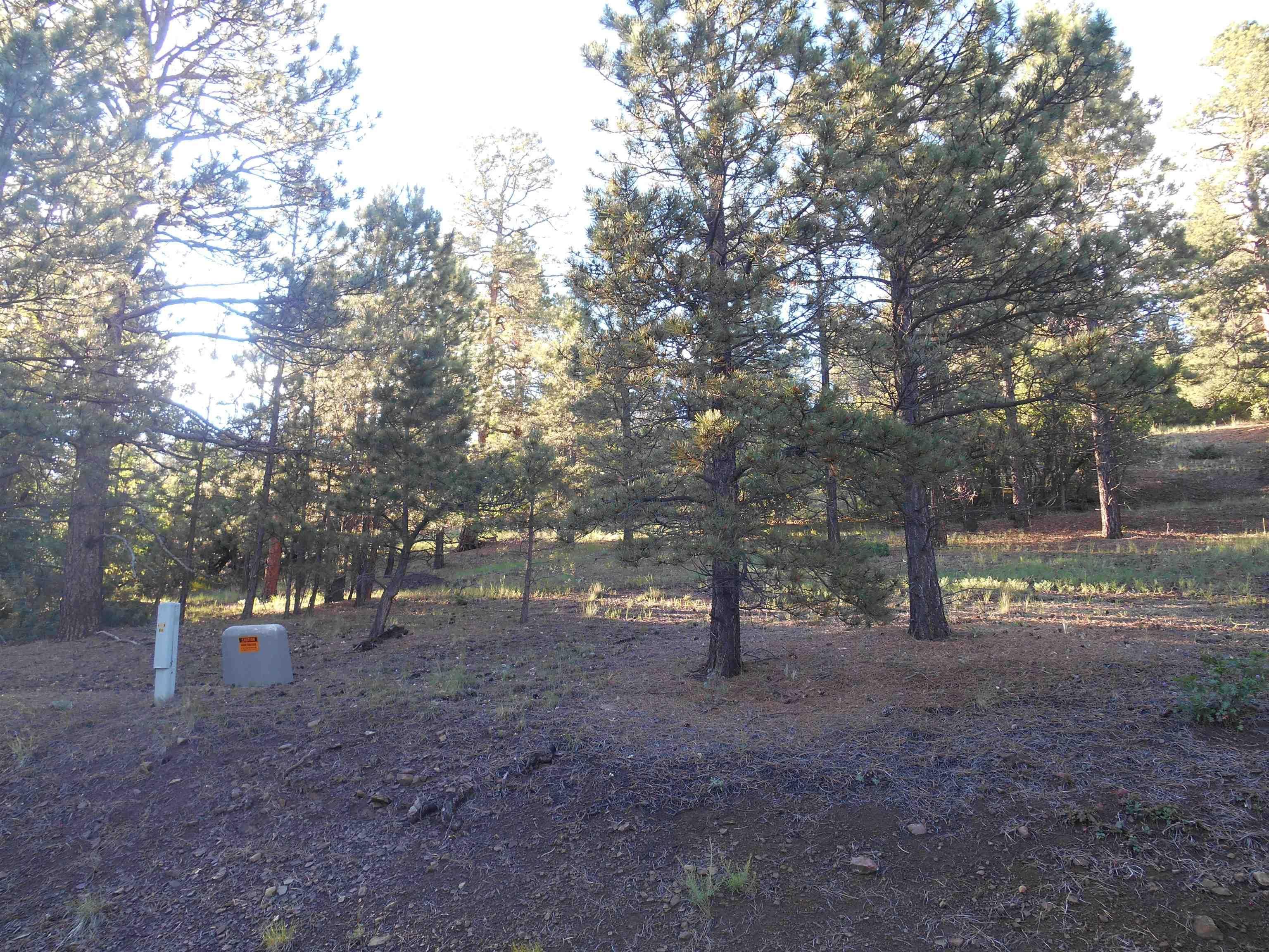 Angel Fire, Taos County, NM Undeveloped Land, Homesites for sale