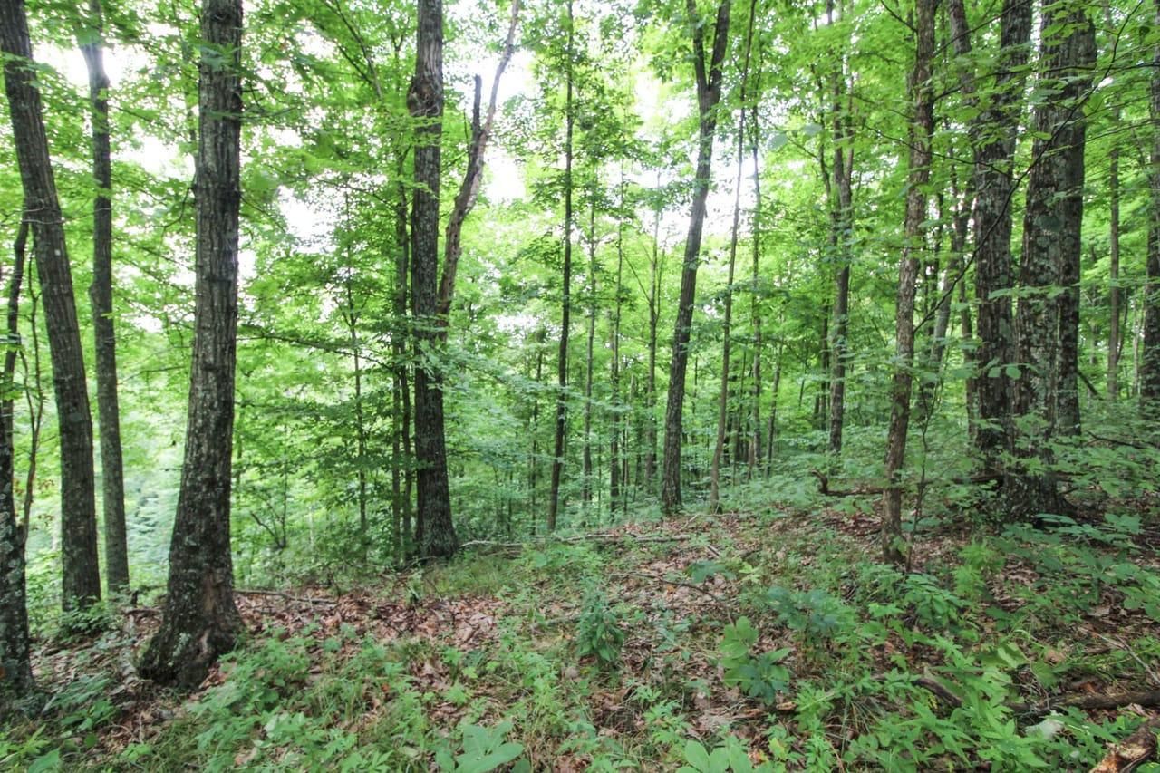 Nelsonville, Athens County, OH Recreational Property, Hunting Property