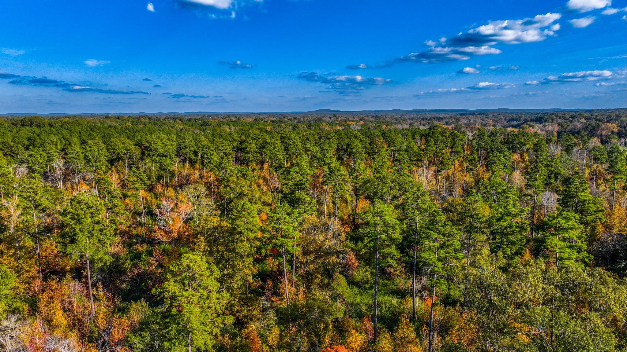 Garrison, Nacogdoches County, TX Farms and Ranches, Recreational Property, Hunting Property for