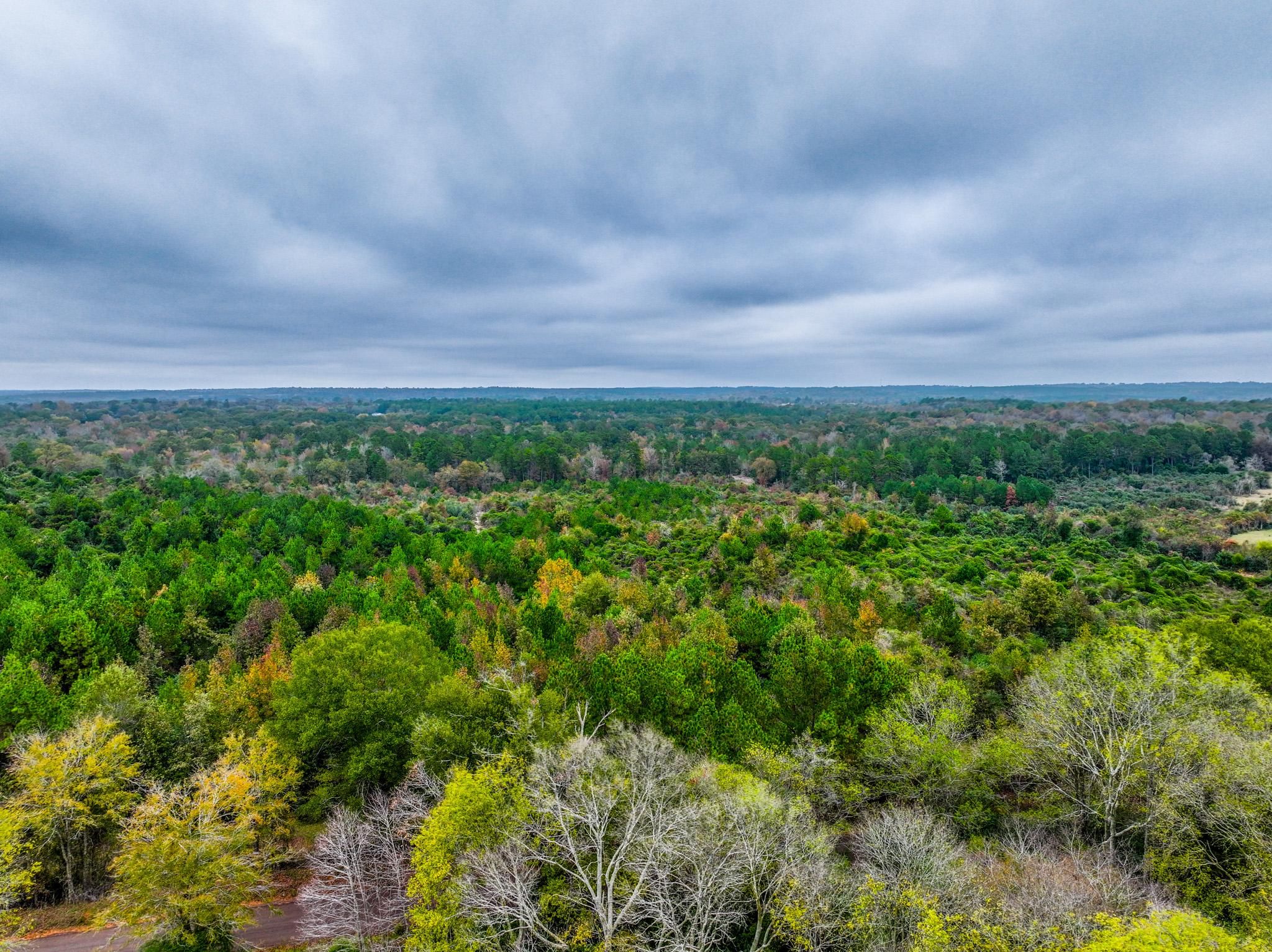 N/S Mayo Rd, Garrison, TX 75946 MLS Small Acreage Tract Close to