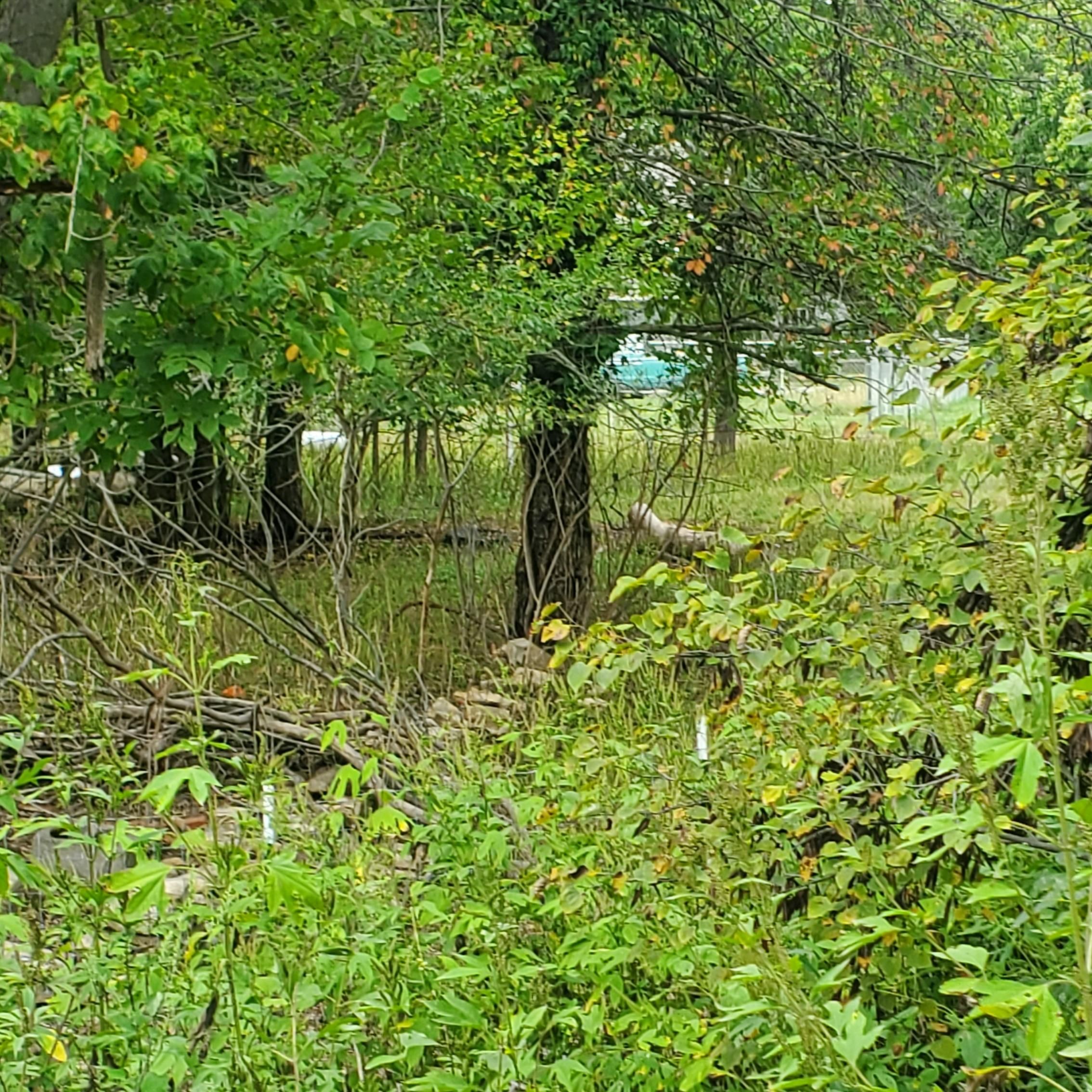 Lyndon, Osage County, KS Homesites for sale Property ID 418329465