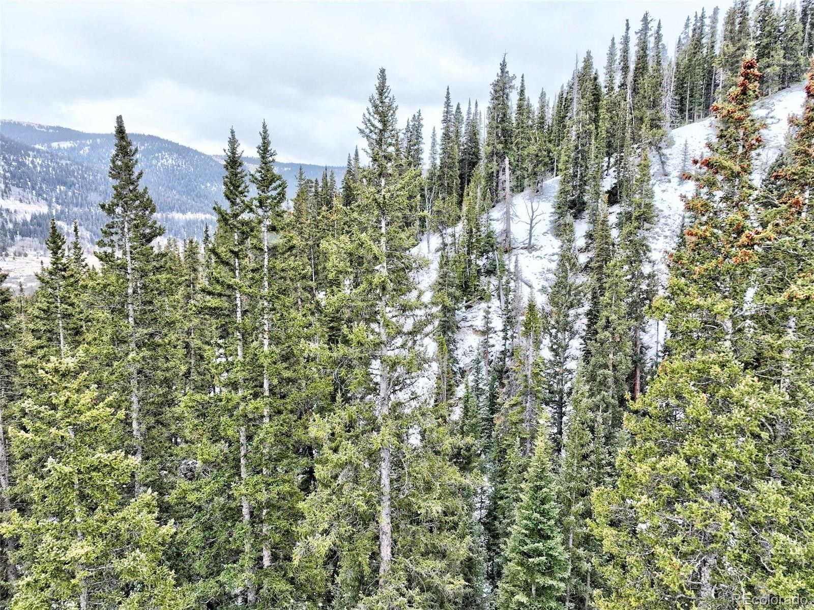 Alma, Park County, CO Undeveloped Land, Homesites for sale Property ID