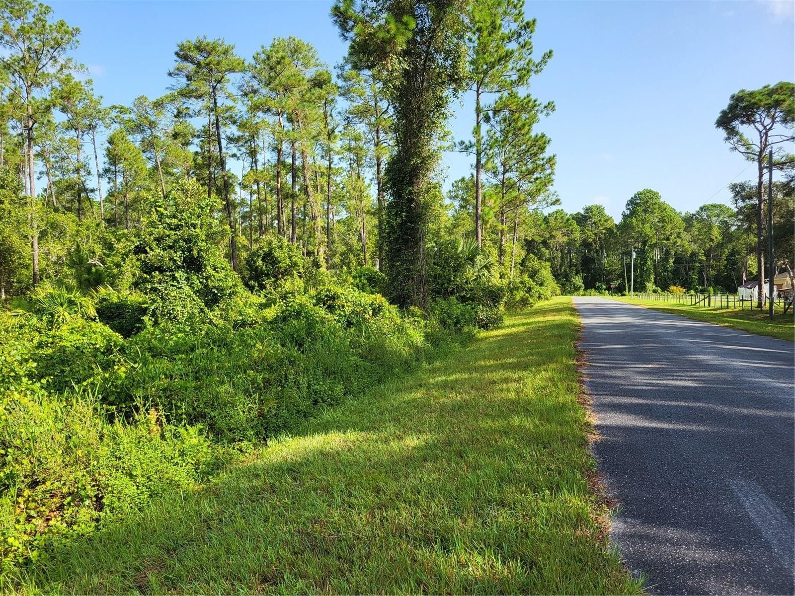 Eustis, Lake County, FL Undeveloped Land, Homesites for sale Property